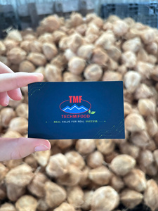 Techmifood Cocos Frescos Madurados Semidescascarados con Cáscara Marrón, Fruta Tropical, Almacenamiento a Temperatura Ambiente, 90 Días de Vida Útil, Agua a Granel - Product Image 1
