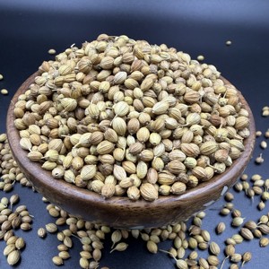 Semillas de Cilantro Eco Export Eagle, Especias Naturales con 2 Años de Duración para Cocinar - Product Image 1