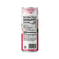 Vietnam Fruit & Groente Sap OEM/ODM 250ml/330ml Slim Can Grapefruitsap Drank Private Label Vloeibare sap