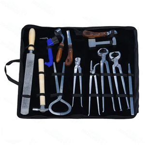 Kit complet de ferrage en acier inoxydable réutilisable pour débutants et experts, outils de soin des sabots de cheval, utilisation vétérinaire durable - Product Image 3