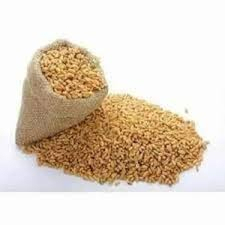 Servicio OEM, Granos de Trigo de Primera Calidad, Venta al por Mayor, Grado Alimenticio, Listos para Enviar, Suministro de Exportación a Granel de Alta Calidad - Product Image 5