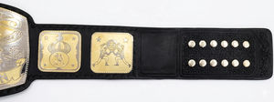 Ceinture de championnat de lutte NWA Mid South Tag Team, taille adulte, réplique - Product Image 4