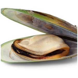 Venta caliente: Deliciosas y sabrosas <span class=keywords><strong>mejillones</strong></span> congeladas sin concha, enlatadas. - Product Image 5