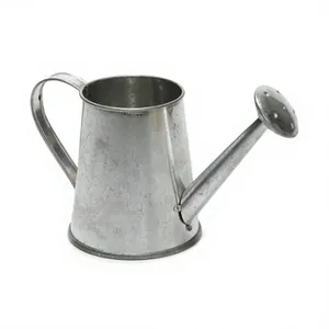Arrosoir artisanal en céramique et métal pour plantes d'intérieur - Décoration élégante et moderne pour la maison par Axiom plant Wholesale - Product Image 1