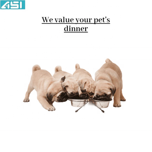 Bol pour animaux de compagnie en acier inoxydable double dîner avec cadre filaire embouts en caoutchouc de qualité supérieure en bas largement utilisé top nouvelle vente - Product Image 3