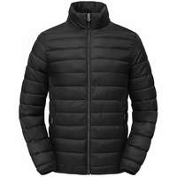 Veste coupe-vent d'hiver pour homme, design personnalisé OEM 2025, 100% polyester, col montant, logo sur le devant, rembourrage standard, chaude et décontractée