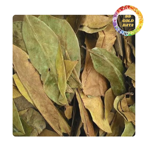 Hojas enteras de guanábana secas de Vietnam para té y bebidas de graviola |   Etiqueta OEM para pedidos al por mayor - Product Image 2