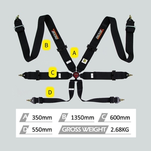 Racing Safety Supplier TBRACING ECO FIA Approved 6 Point Harness Polyester Webbing Steel Hardware Brand Wholesale Custom Color - Product Image 5