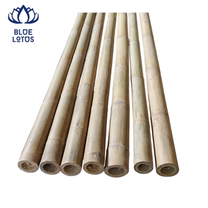 Pôles en bambou écologiques de haute qualité, best-sellers, qualité supérieure, durables, pour le soutien des plantes agricoles - Product Image 1
