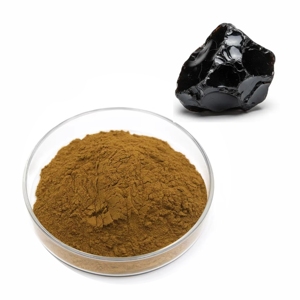 Resina de Shilajit Pura, Extracto Natural Rico en Minerales, Shilajit Crudo al por Mayor, Resina de Shilajit Natural Premium, Extracto Puro - Product Image 3