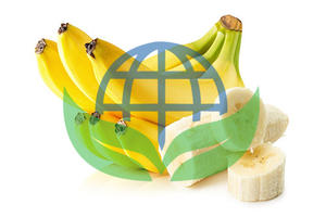 Suministro al por Mayor de Frutas de Coco Orgánicas Congeladas Grado 100kg Marca HP Valia para Jugos, Smoothies y Aplicaciones de Procesamiento de Alimentos - Product Image 2