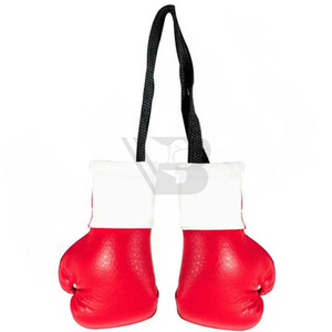 Porte-clés miniature de toutes les crypto-monnaies, décoration d'intérieur, porte-clés avec drapeaux de pays, mini-porte-clés et gants de boxe à suspendre au volant de voiture - Product Image 4