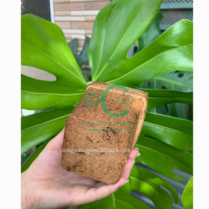 กระถางต้นไม้ใยมะพร้าว ECO2GO ย่อยสลายได้ เป็นมิตรกับสิ่งแวดล้อม ผลิตในเวียดนาม สำหรับใช้ในสวนและบ้าน - Product Image 6