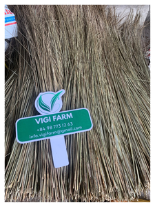 Vigifarm Balai en feuilles de coco 100% naturel - Flexible et durable, multi-usages pour le nettoyage domestique et extérieur, Vietnam - Product Image 1