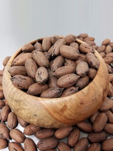 Nueces de Pecana Premium con y sin Cáscara, Calidad de Exportación, Suministro a Granel para Compradores de Todo el Mundo - Product Image 2