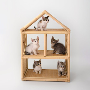 Casas de muñecas naturales para niñas, casa de muñecas de ratán más barata, accesorios para muñecas, juguetes para niños, casa de muñecas de mimbre - Product Image 6