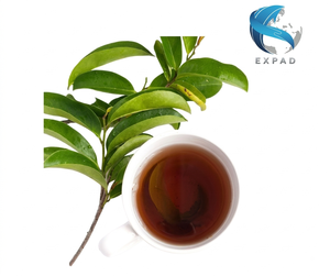 Natural Premium 100% Pure Soursop Leaf Herbal <b>Tea</b> Slimming Benefits Dried Graviola From Vietnam 25 <b>Tea</b> Bags/<b>Box</b> - Product Image 6