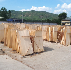 Chapa de madera en oferta - chapa de madera de acacia/pino/teak/caucho secada al horno - chapas de caucho para la fabricación de madera contrachapada - Product Image 1