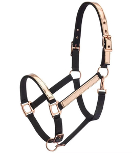 Harnais de cheval en nylon noir avec boucles et anneaux métalliques pour l'équitation et l'entraînement - Product Image 2