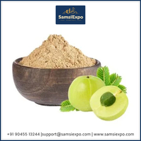 Koop puur Amla fruitpoeder van premium kwaliteit voor voedselverwerking en drankenproductie