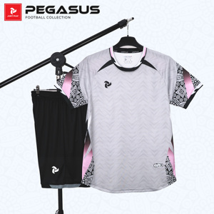 ชุดฟุตบอล OEM ODM แบบกำหนดเอง Pegasus สำหรับเด็ก แห้งเร็ว ระบายอากาศได้ดี ชุดฟุตบอล 100% โพลีเอสเตอร์ สีตัดต่อ สำหรับผู้ชาย ผู้หญิง และเด็ก - Product Image 4