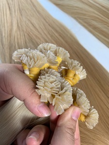 ผมต่อแบบ Pre-Bonded เวอร์จิ้นเคราติน ย้อมสีได้ ผมตรง ผมหยิก ผมลอนธรรมชาติ จากผู้บริจาคคนเดียว ยี่ห้อ Nasa Hair ราคาโรงงานเวียดนาม สีบลอนด์ - Product Image 6