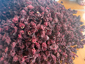 Fleurs d'hibiscus séchées entières du Vietnam, best-seller, en vrac pour la production de thé et de boissons - Product Image 4