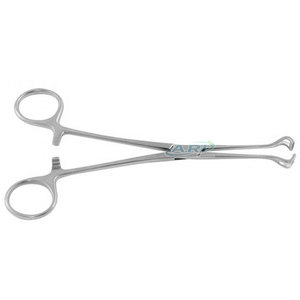 Pinzas Babcock de Acero Inoxidable, Instrumentos Médicos Quirúrgicos, Resistentes y Confiables, Pinzas Babcock Médicas Quirúrgicas - Product Image 3