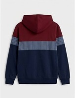 Sweat à capuche personnalisé pour homme avec blocs de couleur |   Sweat-shirt en molleton 100% coton doublé |   Fabricant de vêtements de sport OEM/ODM