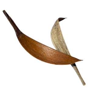 ADVAITH BOAT 1 Coco Plato de Comida en Forma de Barco Botánico Natural, Decoración Única para el Hogar, Soporte para Plantas, Portavelas, Cuenco para Flores Secas - Product Image 2