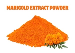 BesMarigold - Polvo de Extracto Herbal de Flores de Caléndula, Grado Alimenticio, Extraído con Solvente, Silvestre, Marca Privada para Uso Alimentario - Product Image 1
