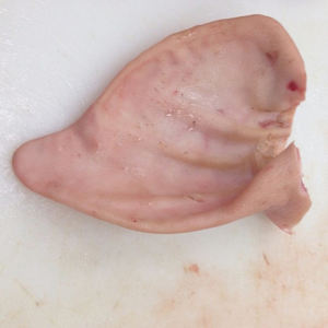 Frozen Front <b>Pork</b> Ears grade Cheap frozen meat halal <b>pork</b> meat - Product Image 1