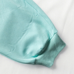 Sweat-shirt à capuche oversize avec fermeture éclair intégrale, bleu clair, imprimé en relief, décontracté, en polyester tricoté, avec masque intégré, 100 % coton molletonné - Product Image 4