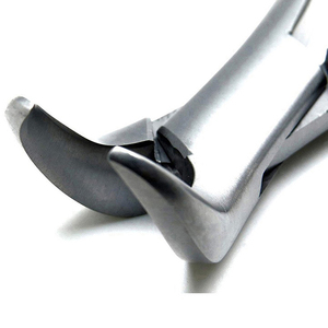 Pinzas de Extracción Dental de Acero Inoxidable de Alta Calidad, Patrón Inglés, Instrumento Manual para Extracción de Dientes, Pinzas Quirúrgicas Dentales - Product Image 5