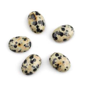 Jaspe dálmata Natural de 10x14mm de alta calidad, cabujón calibrado con parte posterior plana ovalada, piedra preciosa suelta para proveedor de fabricación de joyas Diy - Product Image 1