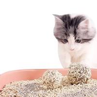 Litière pour chat au tofu 6L, biodégradable, contrôle des odeurs, respectueuse de l'environnement, plusieurs couleurs pour chats