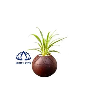 กระถางเปลือกมะพร้าวธรรมชาติขายดีที่สุด |   กระถางแขวนดอกไม้แบบยั่งยืนสำหรับตกแต่งลานบ้าน - Product Image 1