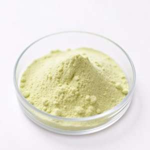 Poudre d'extrait de concombre végétal de qualité alimentaire biologique adaptée aux adultes Concentration 10:1 Digestion naturelle pure pas pour les femmes enceintes - Product Image 1