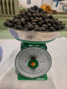 Semillas de loto secas de Grado Superior Vietnam Toan Tai Loc Phat marca textura suave Color agradable suministro estable venta al por menor agricultura al por mayor - Product Image 6