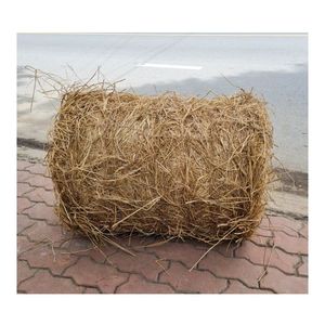 TENDANCES ACTUELLES Paille de riz compressée pour la transformation pratique du fourrage et les substrats de culture de champignons - Product Image 1