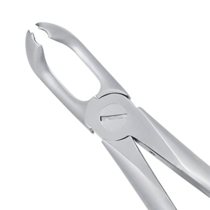 Pinzas de Extracción Dentales Quirúrgicas para Molares Inferiores Serrados 79, Instrumento de Cirugía Oral de Acero Inoxidable - Product Image 4