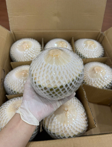 Vietnam Natural Sweet Coconut - Pull Tab Hidratación - Product Image 4