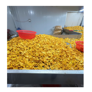 ผู้ผลิตขนมผลไม้เมืองร้อนพรีเมียมจากเวียดนาม มะพร้าวแห้งกรอบขายส่ง - Product Image 1