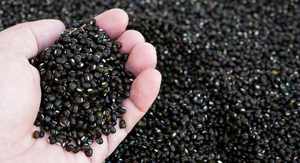 Whole Black <b>Beans</b> High Protein Fiber Rich for Daily Cooking <b>Baking</b> Snacks High Protein Fiber Rich Black Gram Lentils Urad Dal - Product Image 3