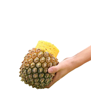 Fresh and sweet export quality canned pineapples are available for wholesale supply with stable quality and reliable sourcing - Product Image 1