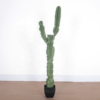 Plantes artificielles de décoration intérieure multi-styles : Cactus artificiel en pot, Plante verte artificielle, Plantes succulentes artificielles, Cactus artificiel