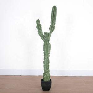 Plantes artificielles de cactus et succulentes pour la décoration intérieure, plusieurs styles disponibles - Product Image 3