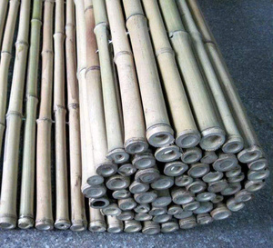 Estacas de Bambú Natural Premium para Jardín – Varillas Duraderas para Soporte de Plantas Trepadoras y Cercas Ecológicas de Privacidad - Product Image 3