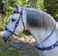 Ensemble d'équitation baroque pour l'endurance, bride multifonctionnelle, rênes, entièrement réglable, multicolore, prêt à être expédié