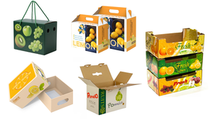 RDY Verpackung Maßgefertigte Wasserdichte Kartonagen für Garnelen, Meeresfrüchte, Mais, Tiefkühlkost, Obst und Gemüse - Wachsbeschichtete Transportboxen - Product Image 5
